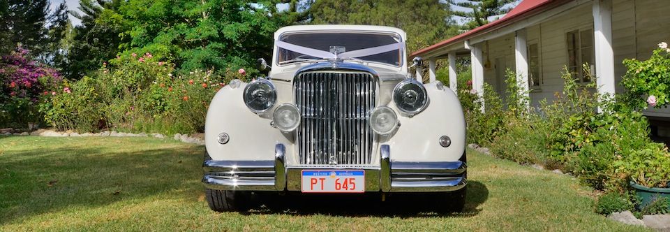 Jaguar 1951 front view