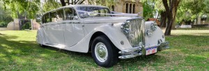 Jaguar 1951 side view 1